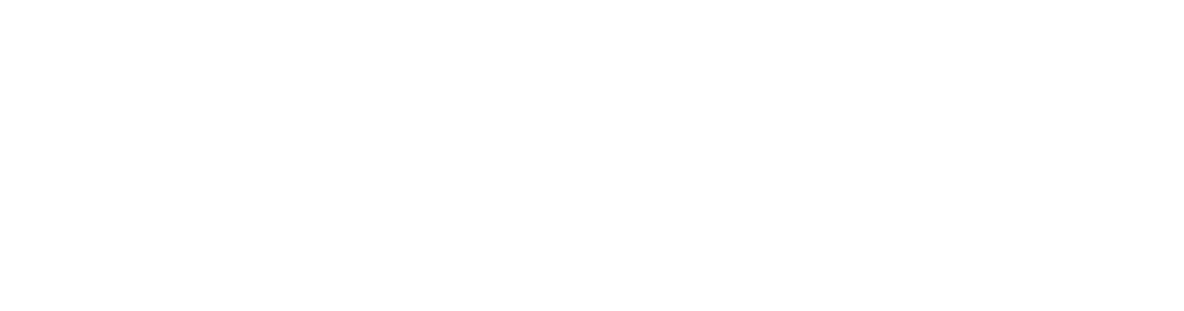 Ena Store